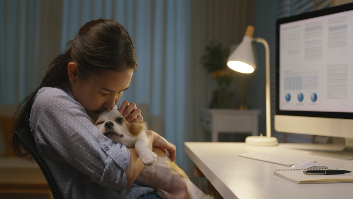 Stressed pet parent trying to navigate travel requirements